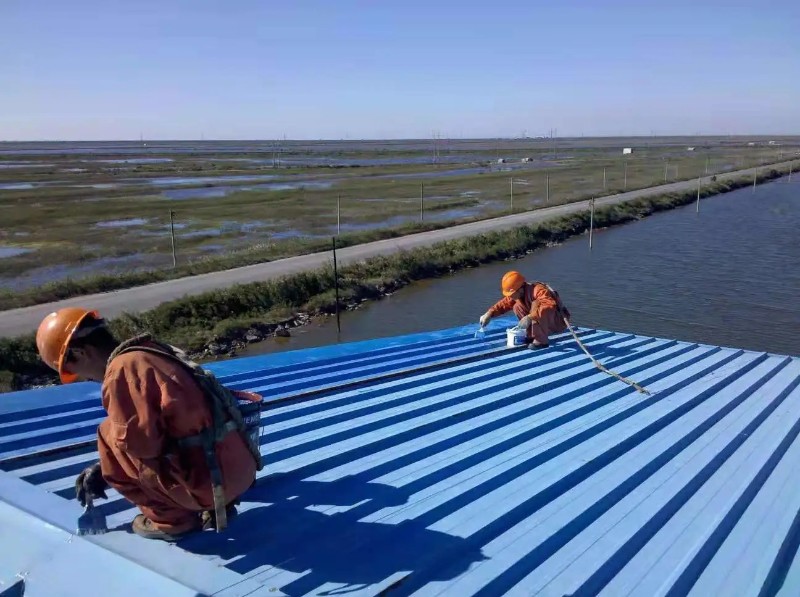 南乐钢结构屋面漏水原因